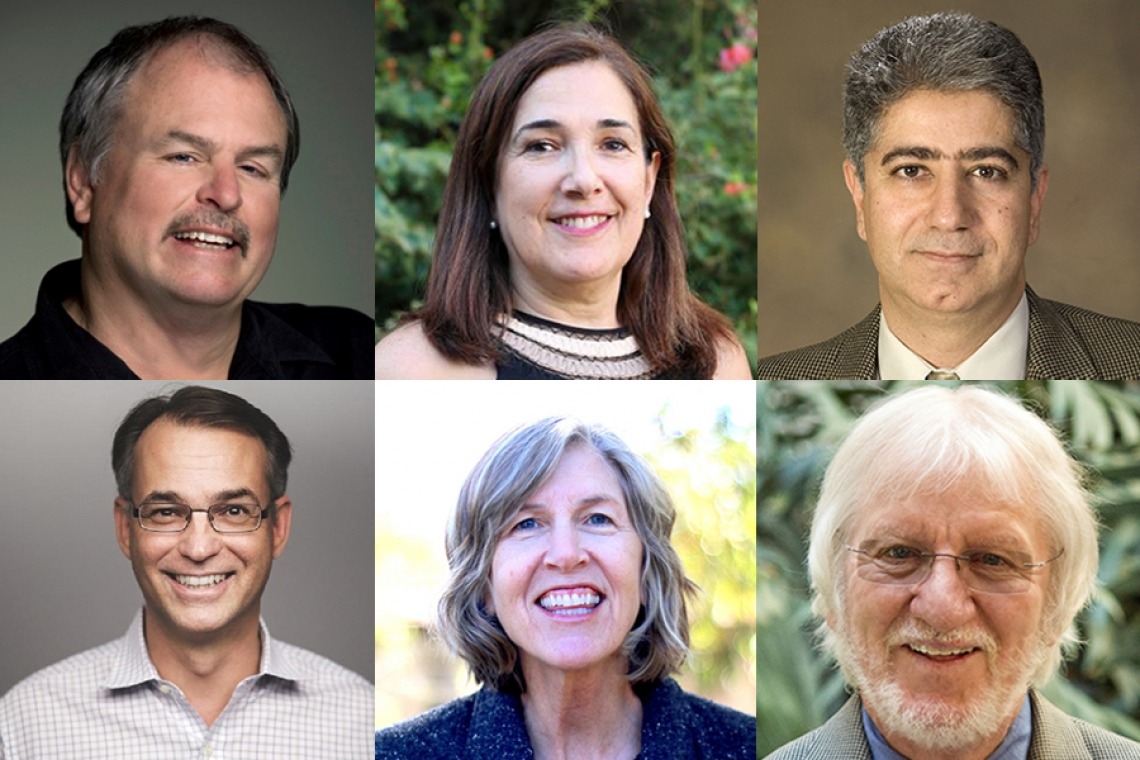 The University's newest Regents Professors. Top row (from left): Steven Archer, Sonia Colina and Marwan Krunz. Bottom row (from left): Dante Lauretta, Sallie Marston and Ian Pepper.