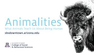 The College of Social and Behavioral Sciences' Downtown Lecture Series this year will explore the theme "Animalities." The series' Oct. 10 talk is titled "The Personhood of Bison."